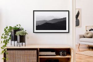 Black & White Photography