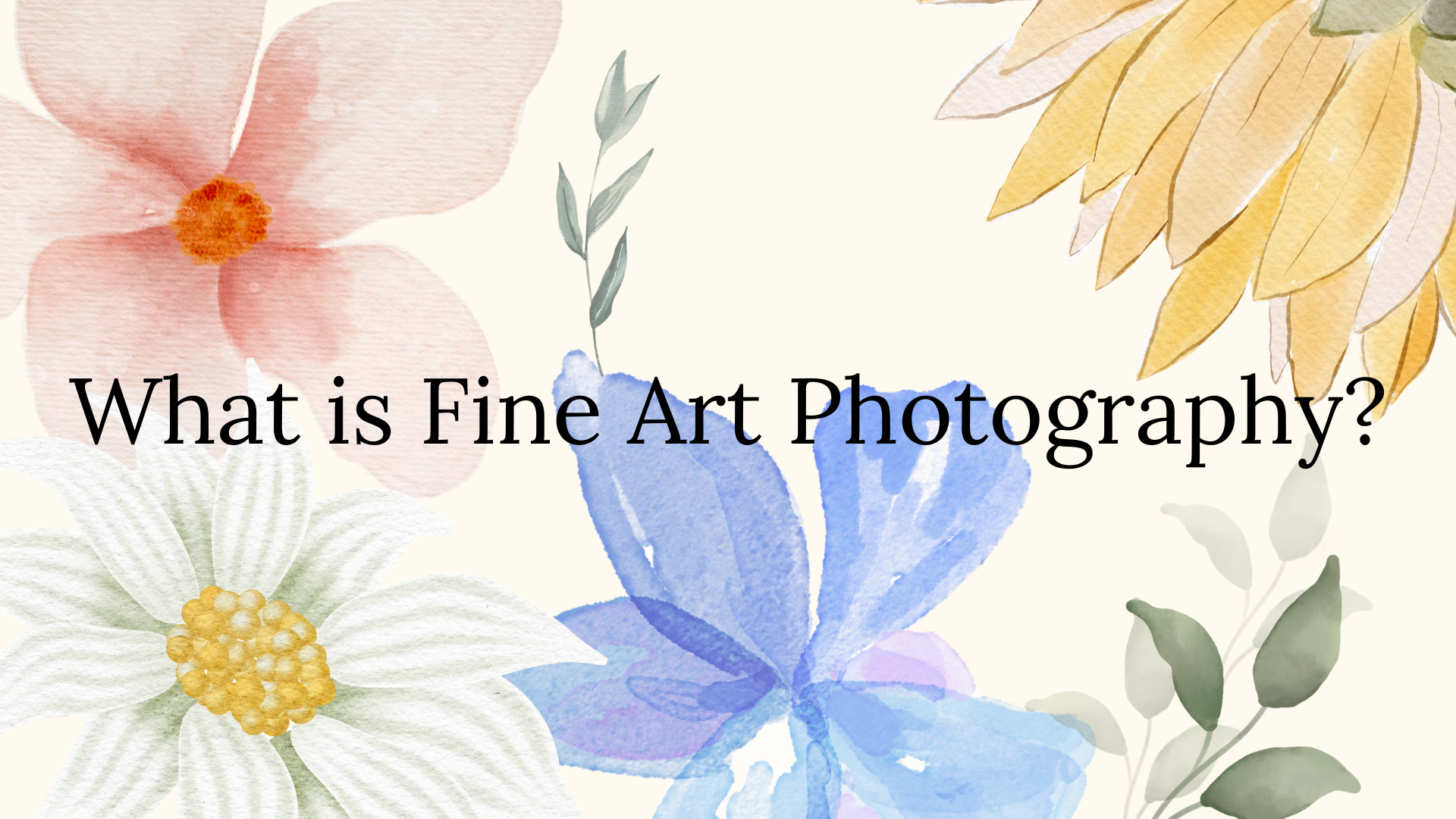 Read more about the article What is Fine Art Photography?